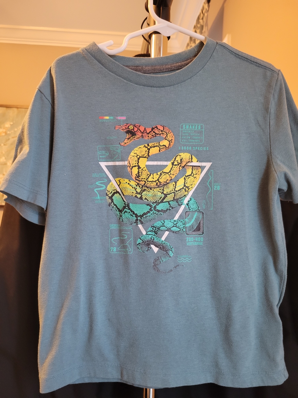 Old Navy Boys Short Sleeve Teal Tee with Colorful Snake Graphic